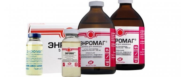 Энромаг для кошек: инструкция по применению, состав
