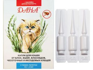 Капли Дана